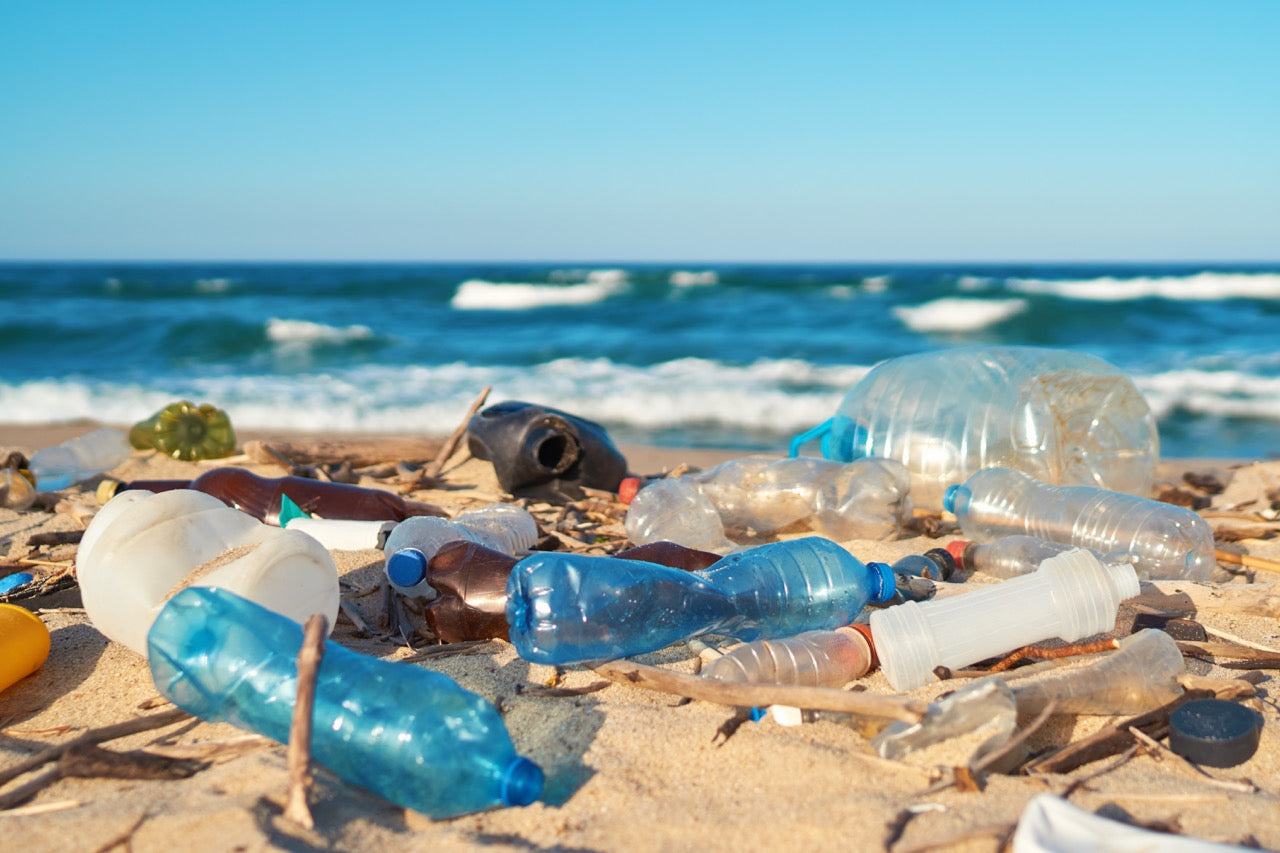 Why are Plastic Water Bottles Bad for the Environment?