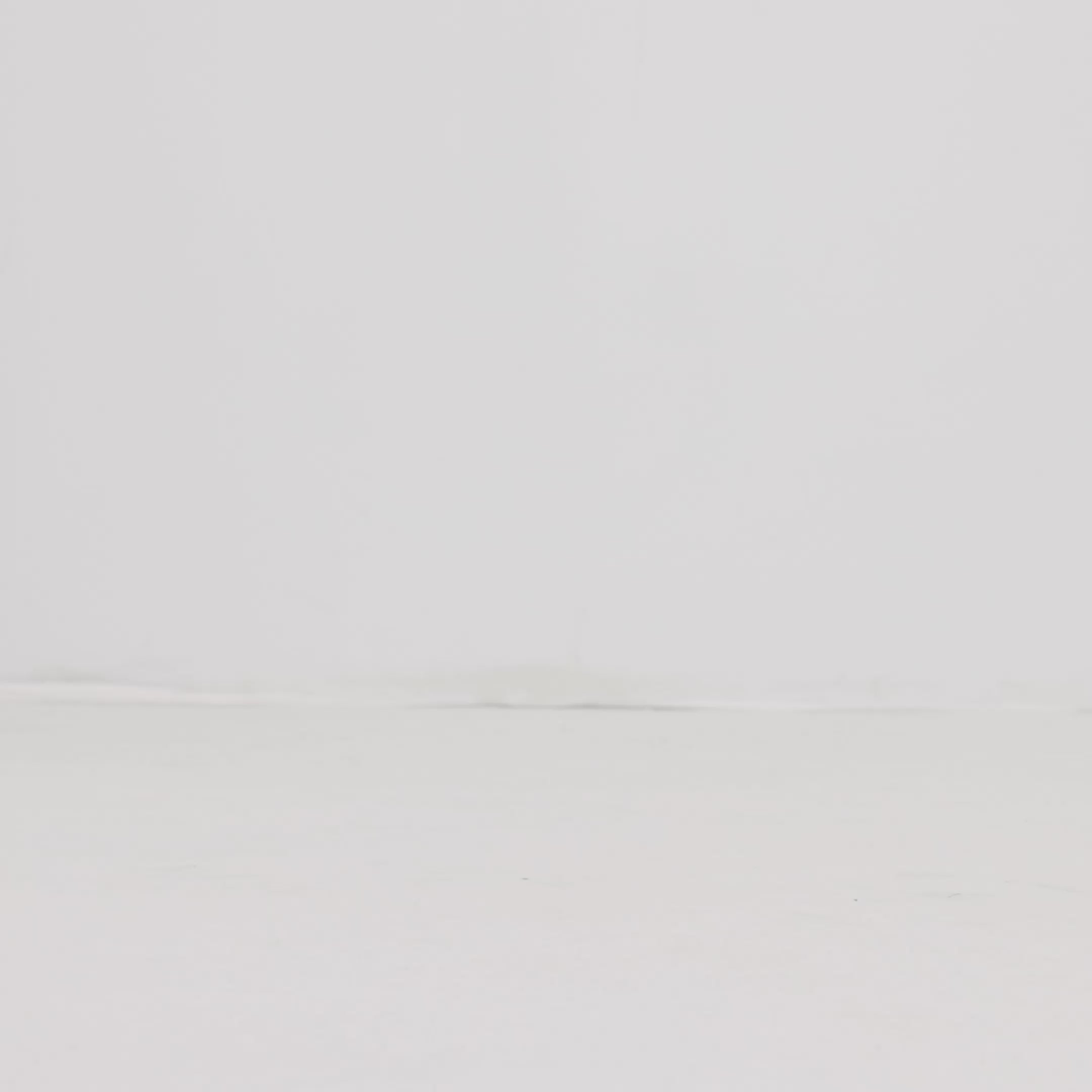 Model moving around in The Penny Loafer in Black, showing different angles of the shoe. 